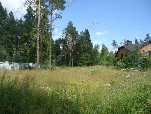 realty_mapper3.plot_in_locationСадовое некоммерческое тов-во. Площадь 20.00 сот.Есть Электричество. в Москве фото 26