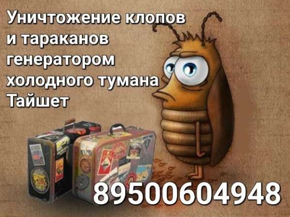 Дезинфекция от клопов и тараканов