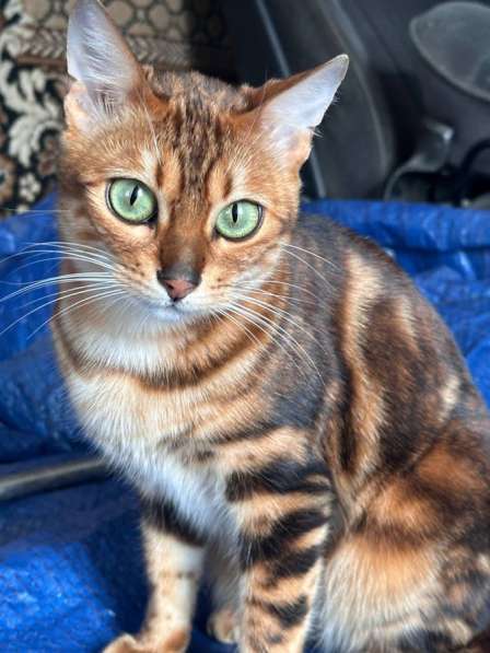 Продам! в Москве