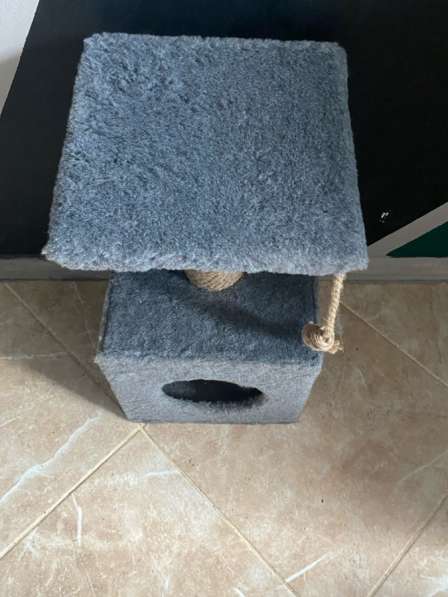 Домик для котят