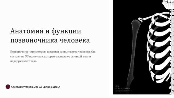 Дизайн презентаций