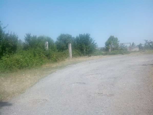 В Грузии, в Телави в фото 12