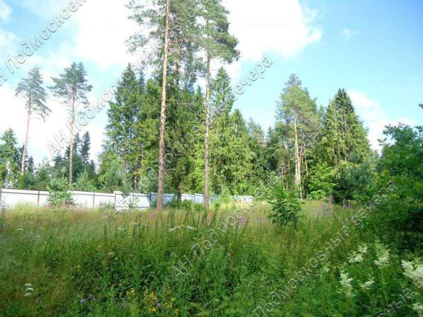 realty_mapper3.plot_in_locationСадовое некоммерческое тов-во. Площадь 20.00 сот.Есть Электричество. в Москве фото 20