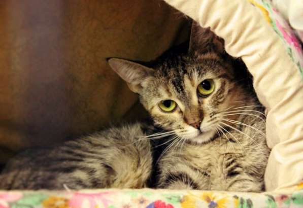 Разборчивая Эрика настроена на блестящее будущее