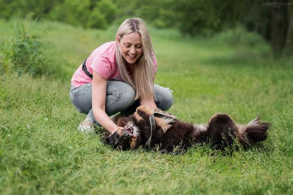 Чудо-собачка Фиби ищет семью в Москве фото 18