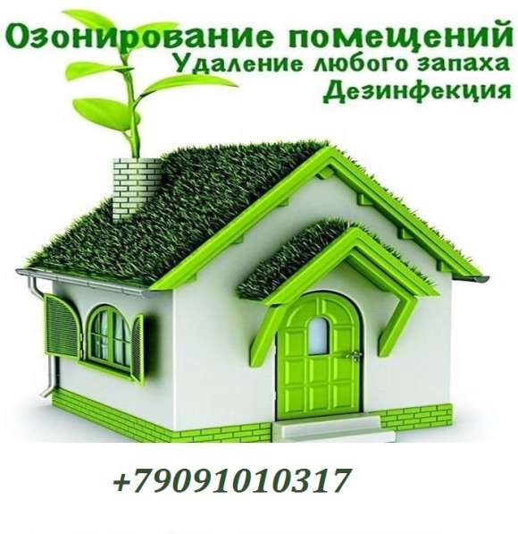 Дезинфекция помещений озоном