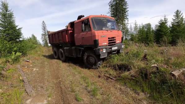 Сдается в аренду самосвал TATRA 815 6x6