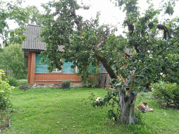Продам дом в д. Пнево кардымовского района в Смоленске
