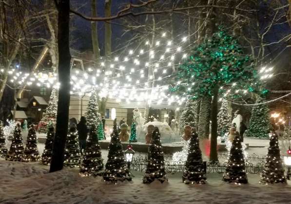 Вечерние новогодние экскурсии по Смоленску в Смоленске фото 7
