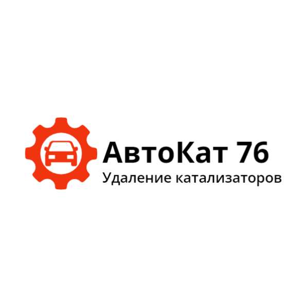 Удаление катализатора + Чип-Тюнинг в Ярославле