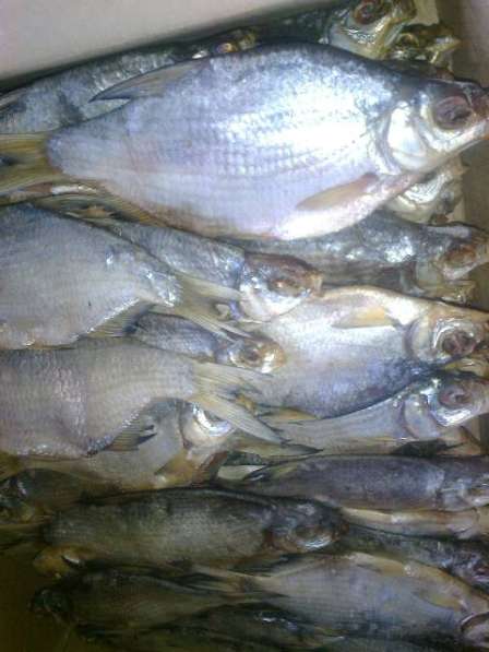 Рыба вяленая в ассортименте в Астрахани фото 7