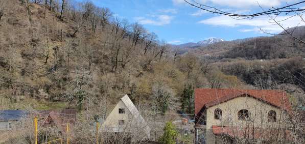 Земля в Сочи в Сочи фото 9