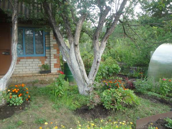 Продаю садовый участок 6 соток. 2эт дом. 2 теплицы в Каменске-Уральском фото 7