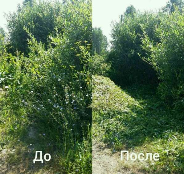 Скос травы Покос травы в Красноярске