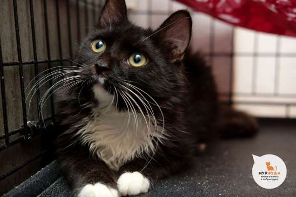 Дуглас хочет сделать вас счастливее в Москве фото 3