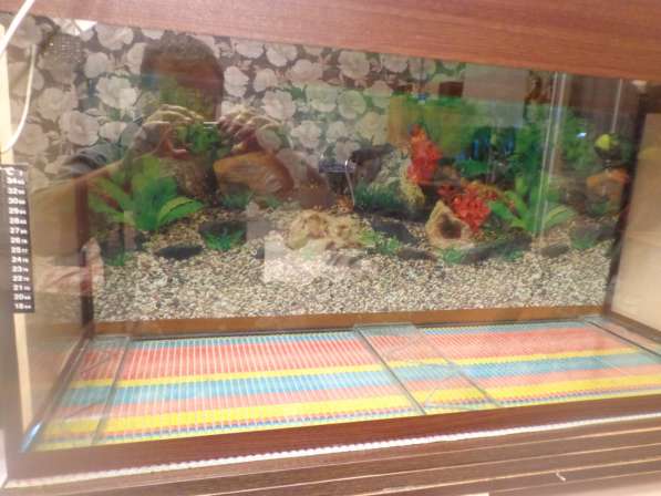 Продам новый аквариум на 170 литров в Смоленске фото 4