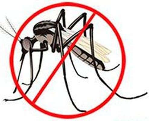 Москитные сетки в Тюмени в Тюмени