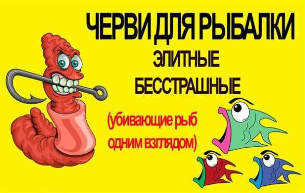 Черви дендробена в Москве фото 5