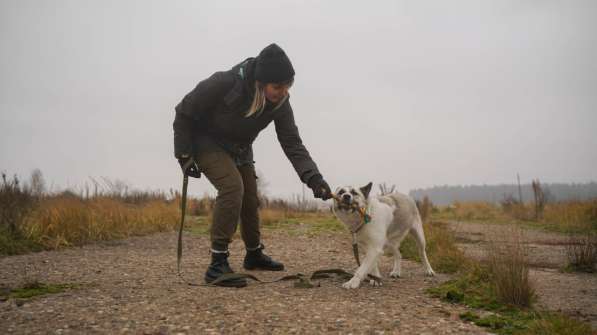 Суперактивная Халва в Москве фото 23