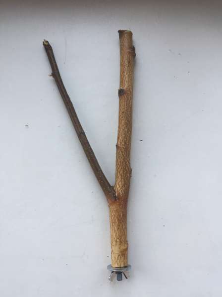 Жердочки для птиц в Екатеринбурге фото 11