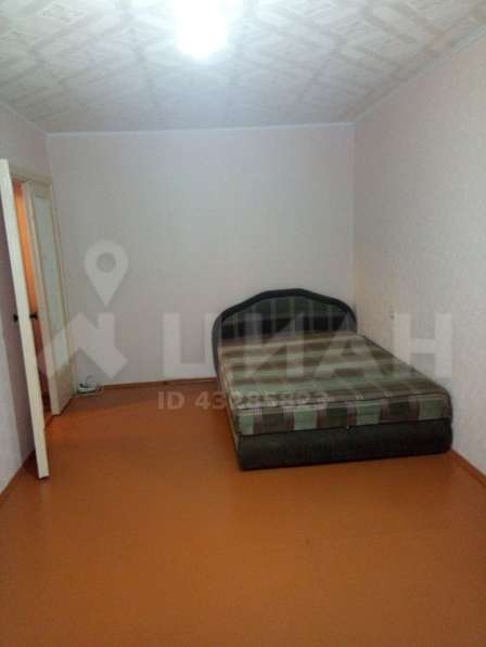 Сдам 1 ком-ю квартиру на длительный срок в Брянске