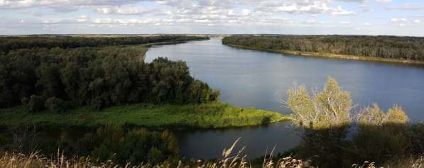 Земельный участок на берегу Дона в Иловле фото 7