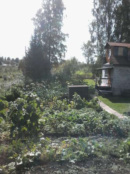 Продам садовый участок (снт Маручак) в Кемерове фото 12