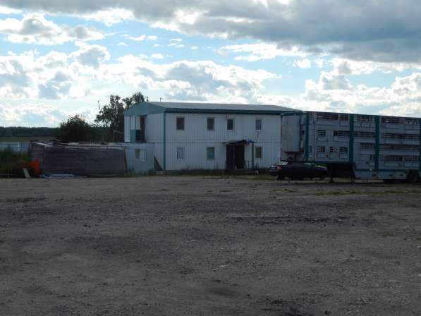 Продажа комплекса производственных помещений в Домодедове фото 19