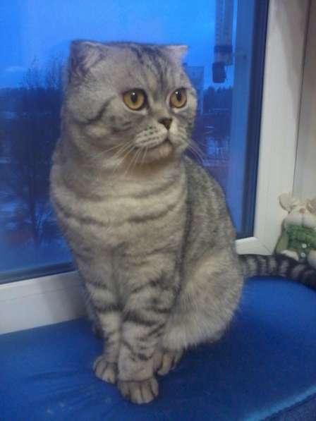 Вязка в Кирове фото 3