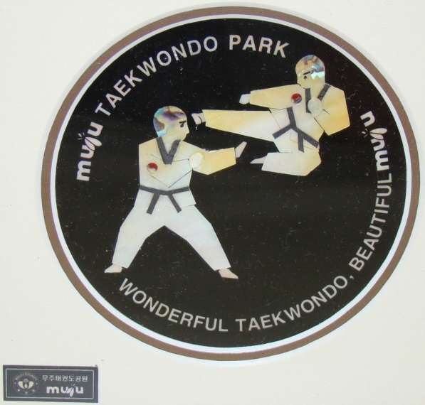 Картина украшение Тхэквондо (W073) в Москве фото 6