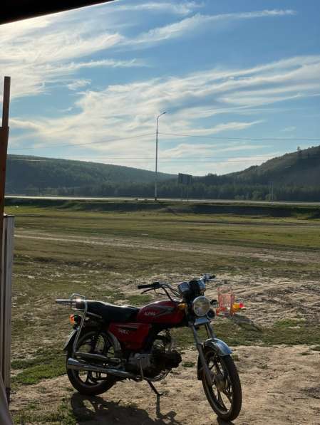 Альфа мопед срочно продам