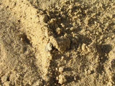 Песок в Костроме фото 5