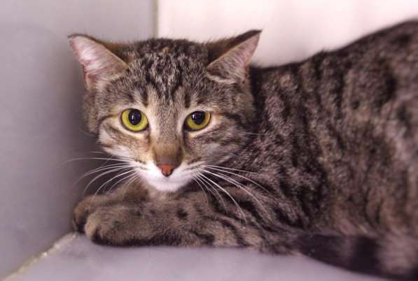 Наблюдательная Дашу ждёт человека с чуткой душой