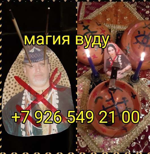 Книга в Сочи