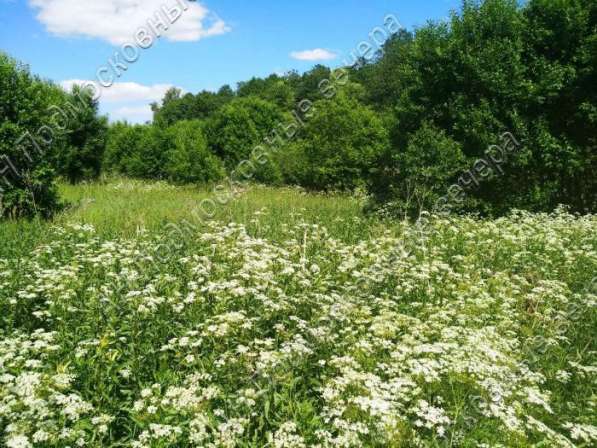 realty_mapper3.plot_in_locationИндивидуальное жилищное ст-во. Площадь 30.00 сот.Есть Электричество. в Москве фото 65