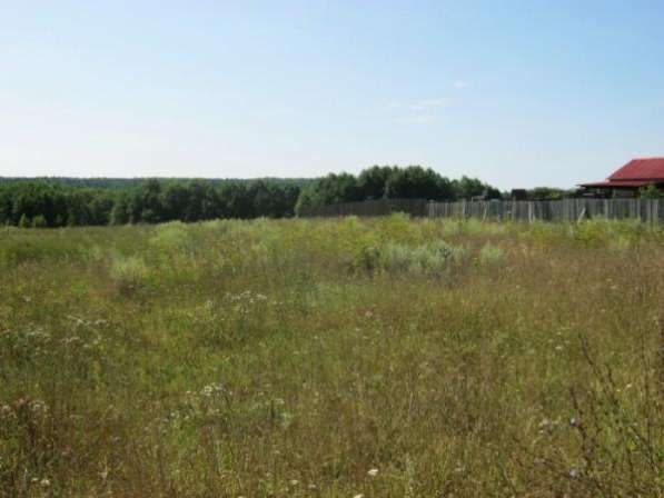 Продается земельный участок 25 сот. в деревне Большое Тесово (рядом река Москва) 98 км от МКАД по Минскому, Можайскому шоссе.