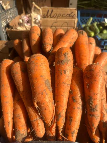 Картофель лук морковь с бесплатной доставкой в Воронеже фото 8