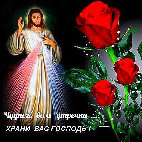 Продаю пару волнистых попугаев в Якутске