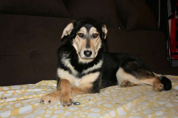 Рада &mdash; кареглазая красавица, полная любви, доброты в Москве фото 8