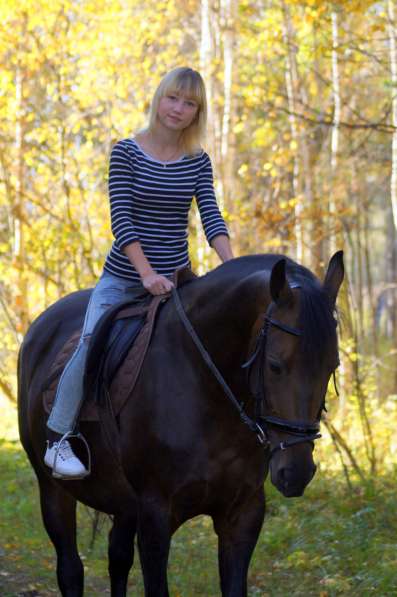 Лесные фотосессии с лошадьми и пони в Екатеринбурге фото 5