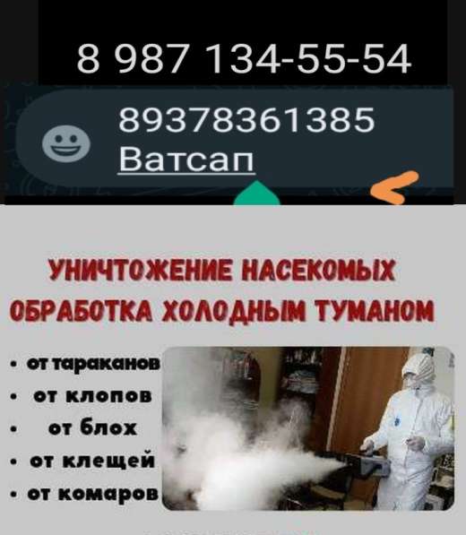 Дезинфекция! Травля тараканов