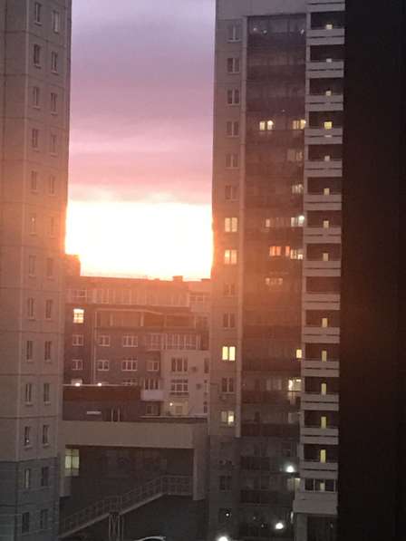 Сдам квартиру, апартаменты 2- х комнатную, светлая, уютная в Челябинске