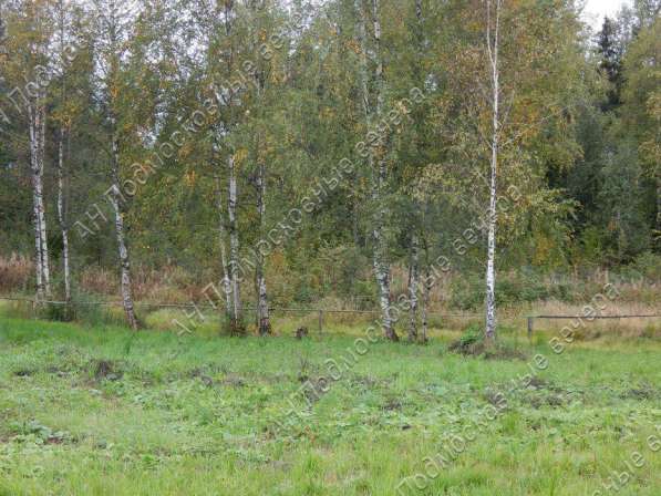 realty_mapper3.plot_in_locationИндивидуальное жилищное ст-во. Площадь 15.00 сот.Есть Электричество. в Москве фото 10