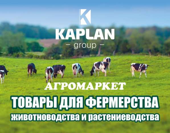Оптово-розничная продажа