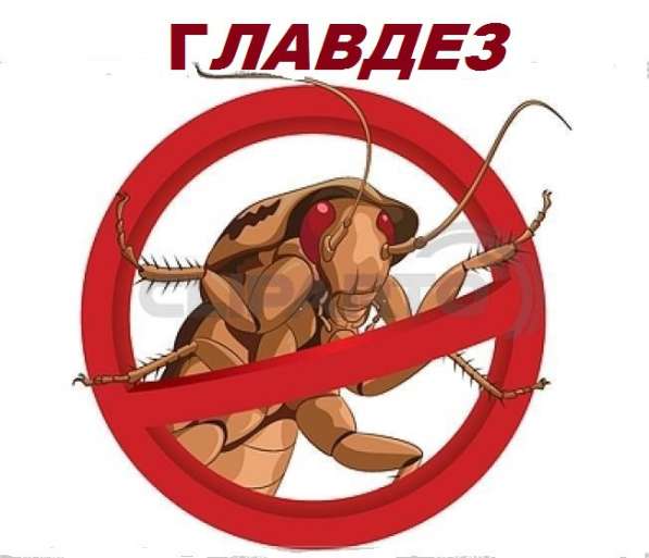 Уничтожение клопов тараканов НАНО технология 777р