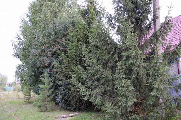 Частный дом п. Саргазы в Челябинске