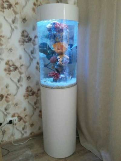 Уникальный комплексный аквариум 130л в Томске фото 3
