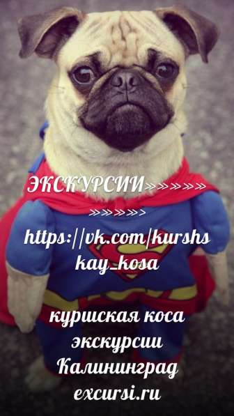 Достопримечаткльности в калининграде 