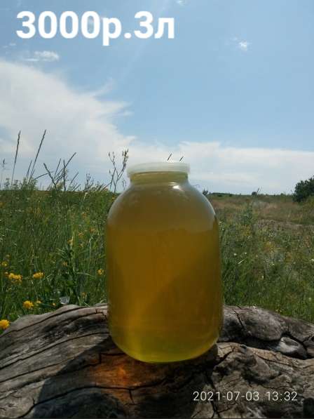 Пчелопродукция (мед, гомогенат, перга, пылца, крема и пр.) в фото 4