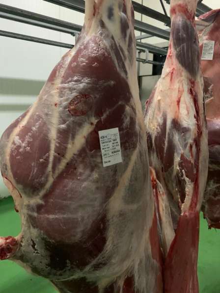 Продается мясо-колбасный бизнес в Румынии в фото 6